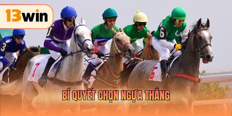 Bí quyết chọn ngựa thắng