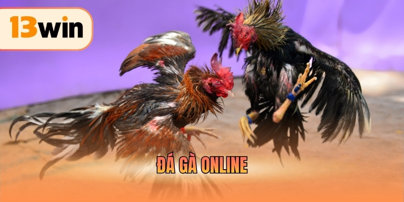 Đá Gà Online