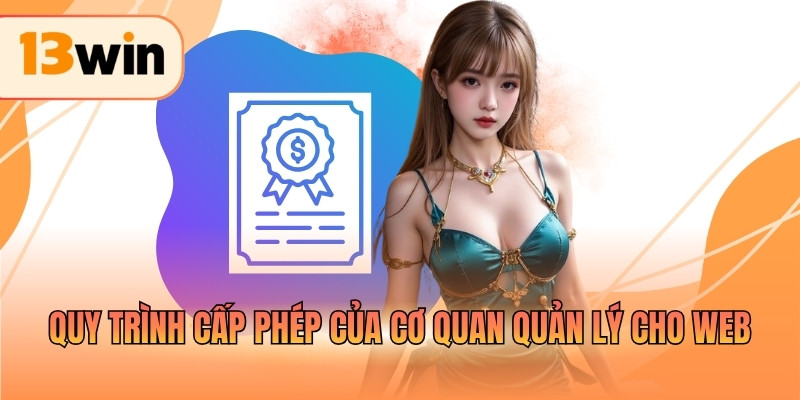 Quy trình cấp phép của cơ quan quản lý cho web